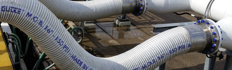 S36沙龙会 - 要玩就玩沙龙会