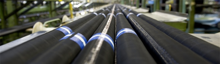 S36沙龙会 - 要玩就玩沙龙会