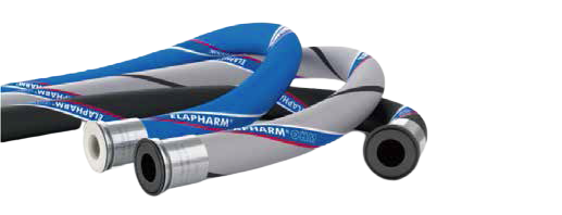 S36沙龙会 - 要玩就玩沙龙会