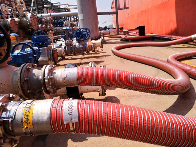 S36沙龙会 - 要玩就玩沙龙会