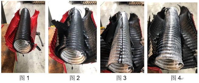 S36沙龙会 - 要玩就玩沙龙会